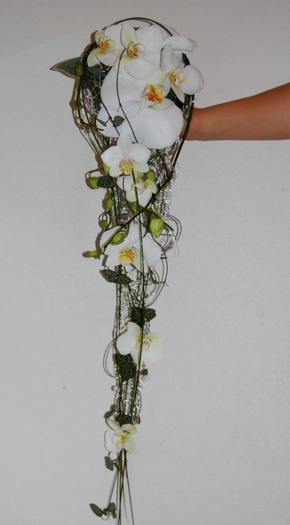hvitorchideheng